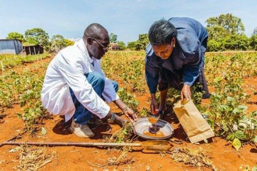 Schweizer Projekt für ökologische Landwirtschaft in den Tropen gewinnt internationalen Forschungspreis