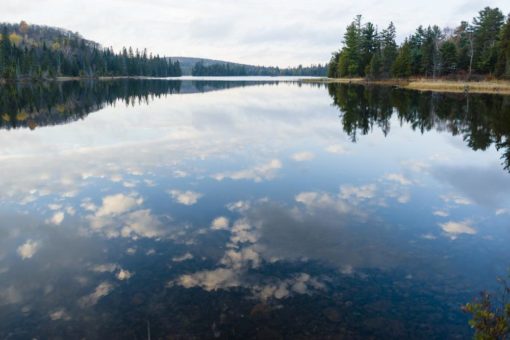 Kanada – Gastland der Frankfurter Buchmesse 2021