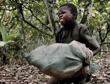 Bundesweite Straßenaktionen zum Welttag gegen Kinderarbeit