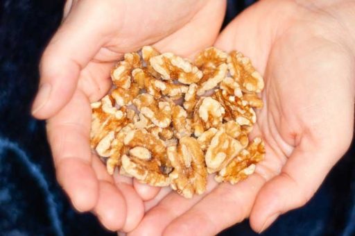 Neuere Forschung bestätigt verringertes Risiko für Herzkrankheiten bei Verzehr von Walnüssen