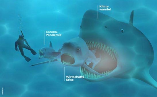 Umfrage zum Thema „Nachhaltigkeit“ in der Freikirche der Siebenten-Tags-Adventisten