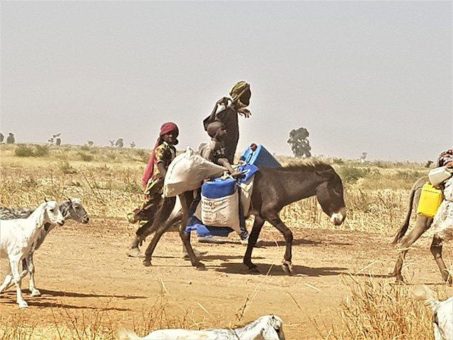Die Zahl der Hungernden steigt wieder