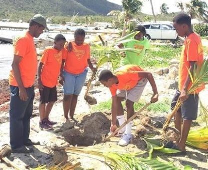 Britische Jungferninseln: Adventisten pflanzen Kokospalmen