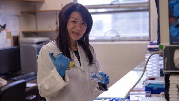 USA: 3,7 Millionen Dollar Forschungsgelder für Wissenschaftlerin an adventistischer Universität