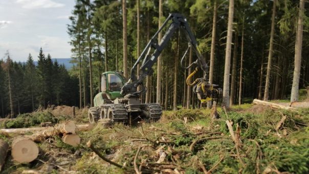 Borkenkäferschäden: B 498 drei Wochen voll gesperrt