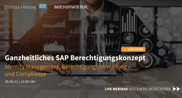 Ein einheitliches SAP-Berechtigungskonzept über alle Systeme hinweg