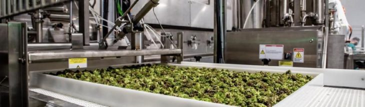 Neuer Deal und weitere Großmaschine verkauft! EnWave gibt weiter mächtig Gas!