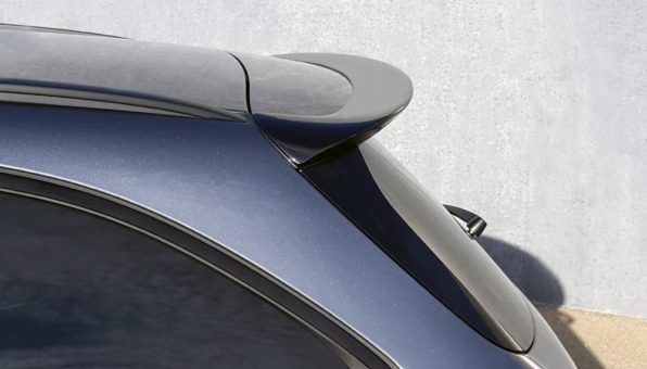 PIECHA E 213 RS-R – Tailor-Made Performance