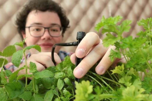 Smarte Pflanzkästen für urbanes Grün