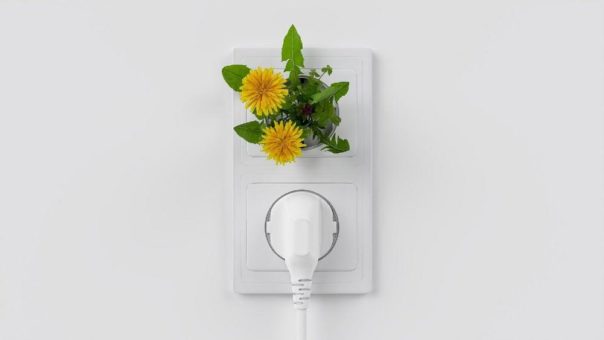 Photovoltaik – Das Bürokratie Problem