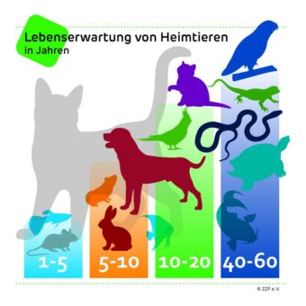 Am 4. Oktober ist Welttierschutztag: ZZF mahnt zur verantwortungsbewussten Anschaffung von Heimtieren