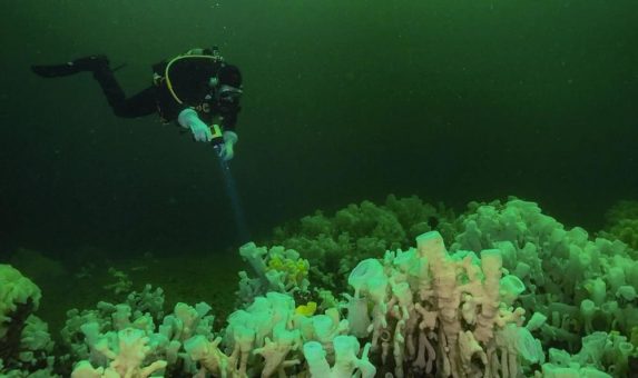 Átl’ka7tsem/Howe Sound in Kanada wird UNESCO-Biosphärenreservat