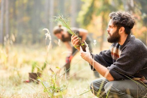 Nachhaltige Waldbewirtschaftung – ein zentraler Bestandteil in der Wertschöpfungskette von Papiertragetaschen