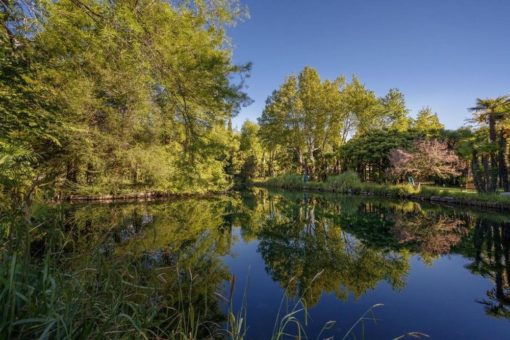 Goldener Herbst am Gardasee