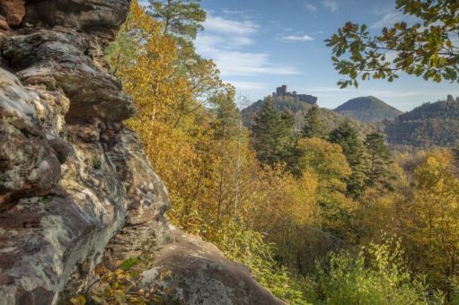 Wild und nachhaltig