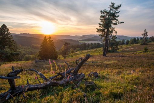 „Glück Auf“- Meditationen – In der Gemeinde Willingen im Hochsauerland kann man im Bergwerk meditieren und entspannen