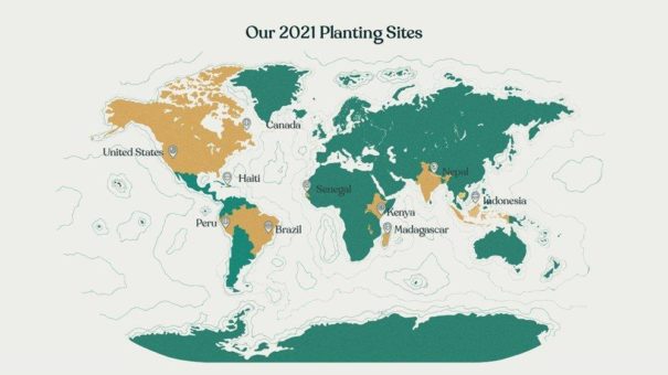 50 Millionen Bäume gepflanzt