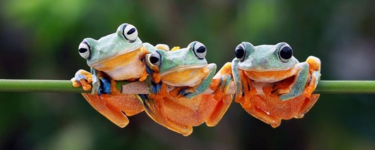 Am 23. Oktober die Schöpfung feiern