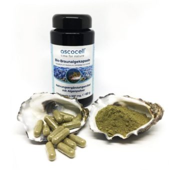 Bio-Braunalgenkapseln von ascocellTM: das Beste aus isländischen Algen als Nahrungsergänzungsmittel
