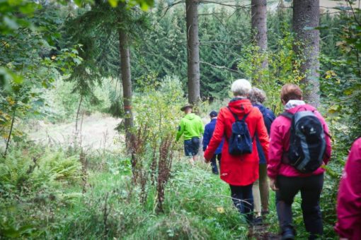 Adventserlebnis im Sauerland – Weihnachtsbaum fällen und mit nach Hause nehmen