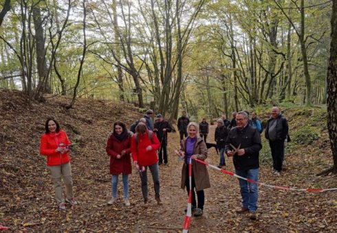 Schutz der natürlichen Nacht im Pfälzerwald