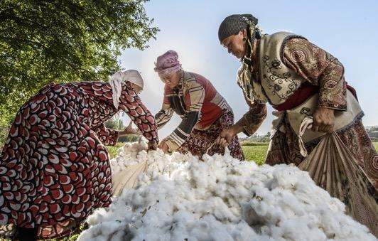 Cotonea berät bei der Entwicklung der Plattform Textile Trust