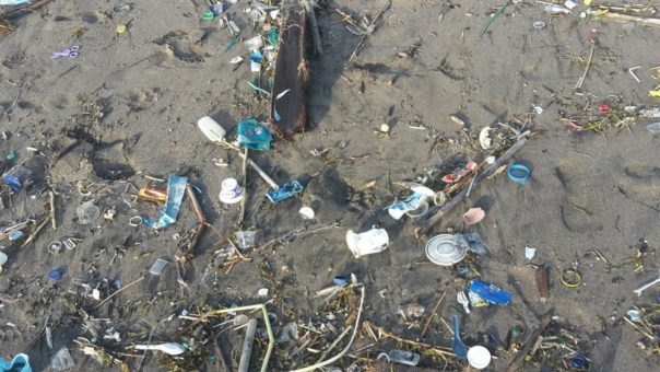 WWF: „Einwegplastik gehört ins Museum“