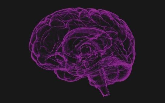 Vorträge in der WIS: Rehabilitation und Therapeutische Kommunikation