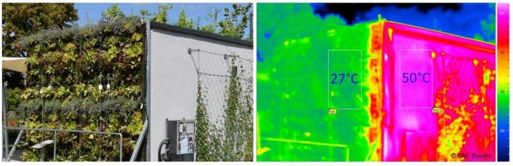 Leben in einer grünen Umgebung! – Fassaden- und Dachbegrünungen als wärmedämmende, kühlende und klimafreundliche Gebäudekomponenten