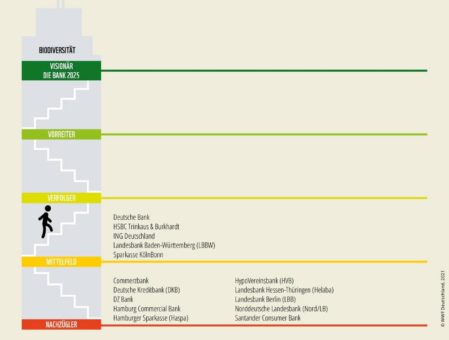 Wo sind die Vorreiter?