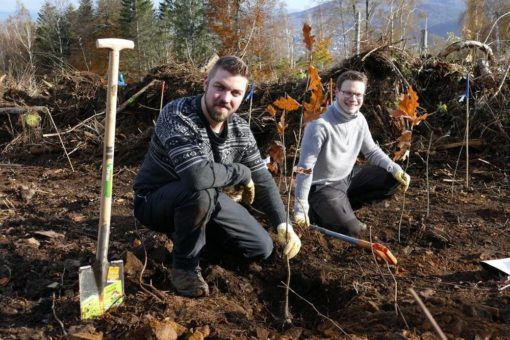 Der Harzklub hilft – Pflanzaktion bei Bad Harzburg schafft stabilen Mischwald