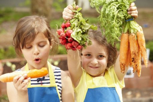 Ernährungs- und Bewegungsstudie der EDEKA Stiftung: Eltern war ausgewogene Ernährung in Lockdowns wichtig, trotzdem sorgte Corona bei vielen Kindern für Übergewicht