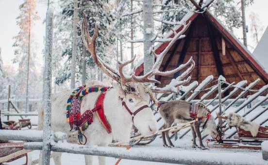 Pünktlich zur Weihnachtszeit: Eurowings fliegt ihre Kund:innen ab Dezember zu vier neuen Zielen in Nordeuropa