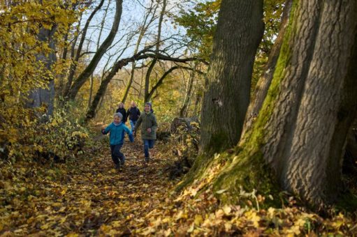 MITMACHEN-Veranstaltungen abgesagt und Nationalpark-Informationen geschlossen