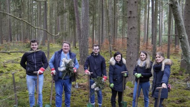 Ein voller Erfolg – ProLife GmbH pflanzt Bäume im Rahmen des ProLife Green Deals!