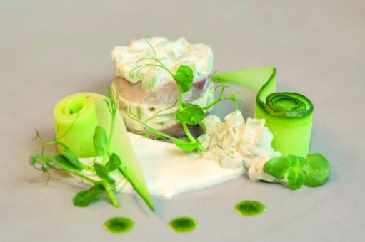 Fisch des Jahres 2021 – der Hering