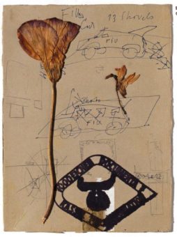 Das Kupferstich-Kabinett zu Gast in Paris: „Beuys zum Geburtstag | Linie zu Linie – Blatt um Blatt“ im Musée d’Art Moderne de la Ville de Paris