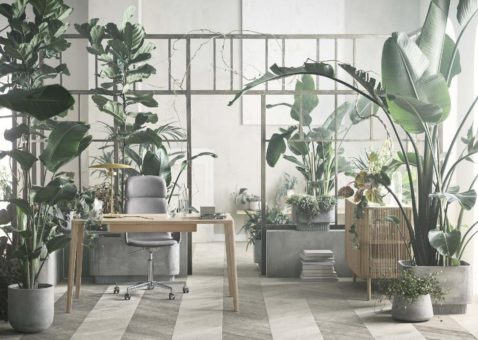 „The Work from Home Collection“ von Bolia bringt Kreativität ins Haus