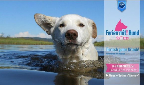 Neue Arrangements bei ferien-mit-hund.de: Hausboot-Urlaub mit Hund