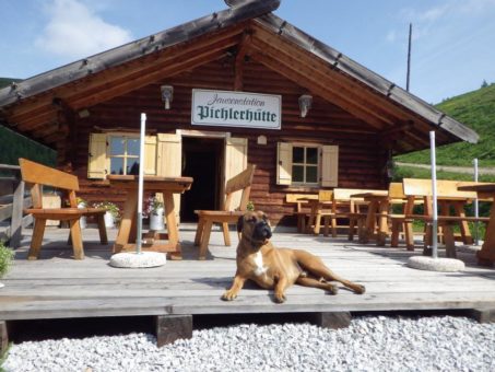 Fernab vom Massentourismus: Ferien mit Hund in Deutschland