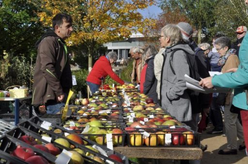 Farbenfroher Herbstmarkt an zwei Tagen im Park der Gärten