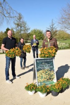 Sie ist so heiß wie ein Vulkan