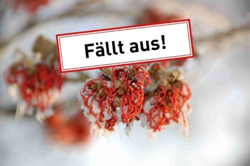 Absage – Sonderöffnung „Winterblüte im Park“ am 14. Februar 2021 fällt aus
