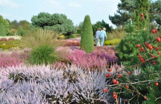 „Deutschlands größte Mustergartenanlage“ – jetzt in herbstlichem Zauber