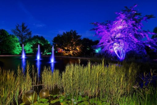 Illumination – Spezial 2020 wird verlängert