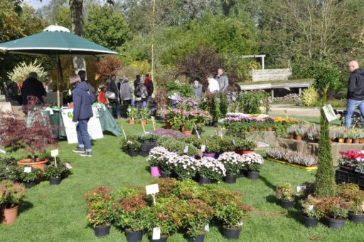 Fulminanter Saisonabschluss mit verlockendem Herbstmarkt