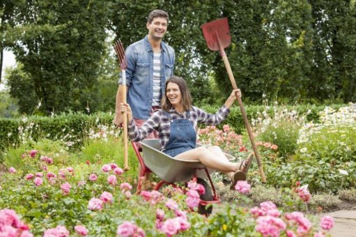 Ab ins Beet und eigenes Gemüse ernten