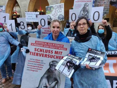 Über 113.000 Menschen unterschreiben gegen Affenlabor Covance