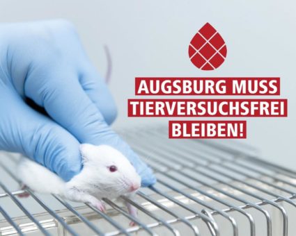 Augsburg wird vorzeitig zur Tierversuchs-Stadt