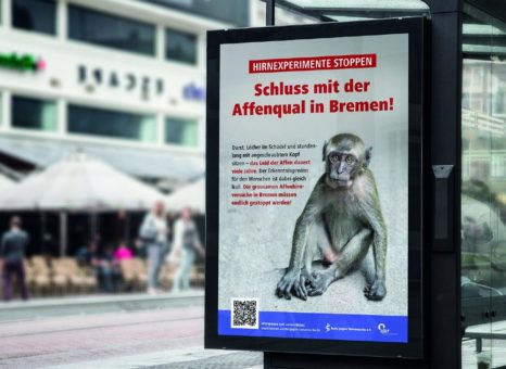 Große Plakataktion gegen Affenqual in Bremen